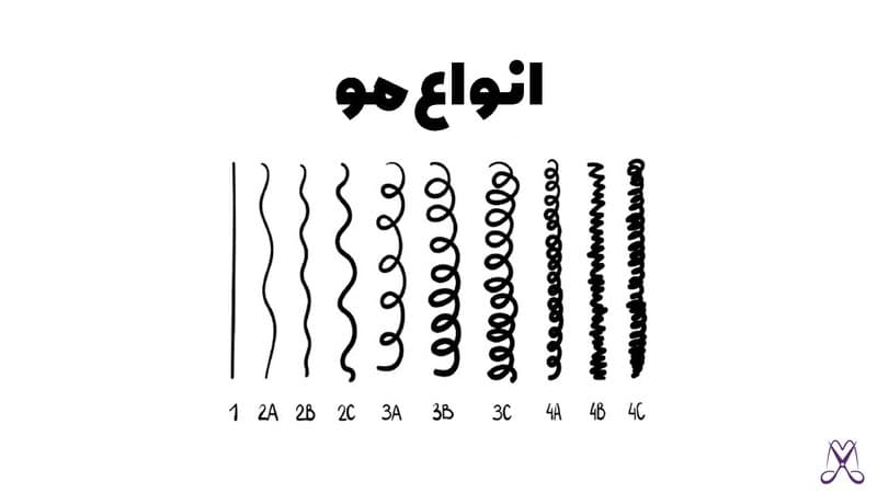 شناخت انواع مو